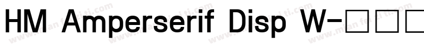 HM Amperserif Disp W字体转换